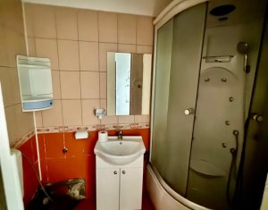 Appartement 1 chambres à louer dans Cluj-napoca, zone Buna Ziua
