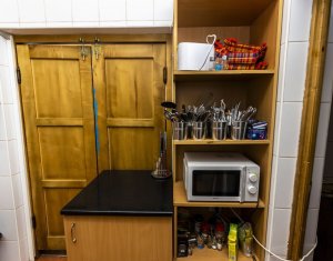 Maison 10 chambres à vendre dans Baisoara