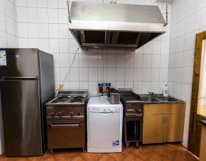 Maison 10 chambres à vendre dans Baisoara