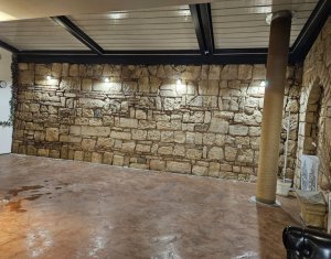 Espace Commercial à vendre dans Cluj-napoca, zone Centru
