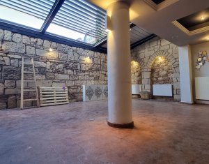 Espace Commercial à vendre, 64m2 dans Cluj-napoca, zone Centru