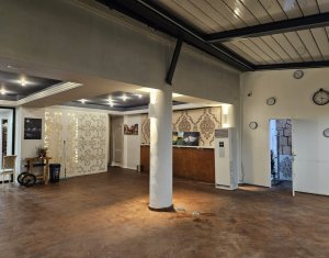 Espace Commercial à vendre dans Cluj-napoca, zone Centru
