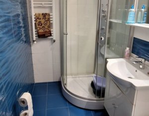 Appartement 2 chambres à louer dans Cluj-napoca, zone Grigorescu