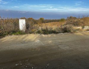 Terrain à vendre dans Feleacu
