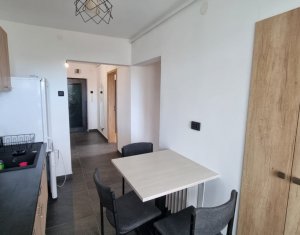 Appartement 2 chambres à louer dans Cluj-napoca, zone Gheorgheni