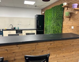 Bureau à louer dans Cluj-napoca, zone Plopilor