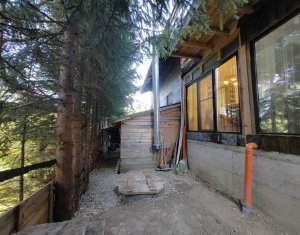 Maison 4 chambres à vendre dans Belis