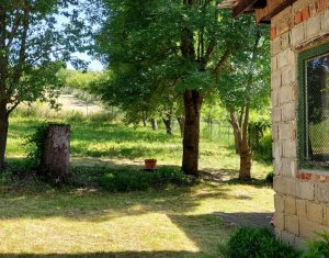 Terrain à vendre dans Martinesti