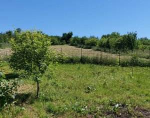 Terrain à vendre dans Martinesti