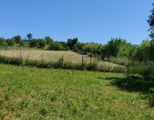 Terrain à vendre dans Martinesti