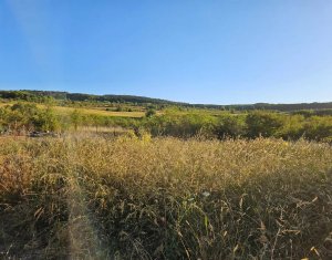 Terrain à vendre dans Chinteni