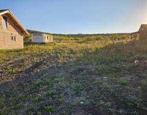 Terrain à vendre dans Chinteni