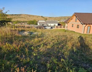, 974m2 dans Chinteni