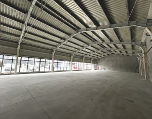 Espace Commercial à louer, 600m2 dans Cluj-napoca, zone Someseni