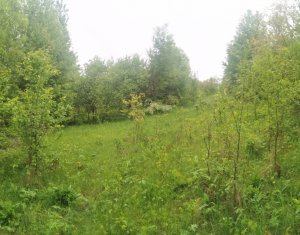 , 2000m2 dans Saliste