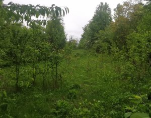 Terrain à vendre dans Saliste
