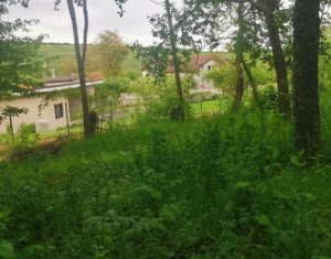 Terrain à vendre dans Saliste
