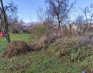 , 86m2 dans Cluj-napoca, zone Dambul Rotund