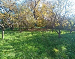 Maison 4 chambres à vendre dans Cluj-napoca, zone Dambul Rotund
