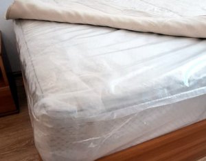 Appartement 1 chambres à louer dans Cluj-napoca, zone Zorilor