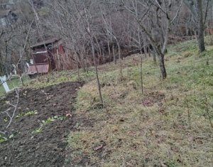 Maison 2 chambres à vendre dans Cluj-napoca, zone Dambul Rotund
