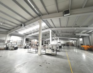 Espace Industriel à louer dans Cluj-napoca, zone Iris