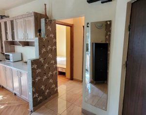 Appartement 2 chambres à louer dans Cluj-napoca, zone Marasti
