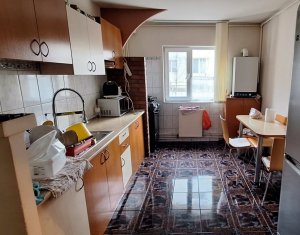 Appartement 2 chambres à louer dans Cluj-napoca, zone Intre Lacuri