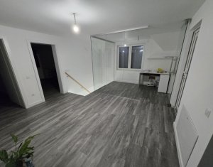 Maison 5 chambres à louer dans Cluj-napoca, zone Dambul Rotund
