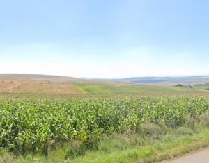 , 4300m2 in Rediu
