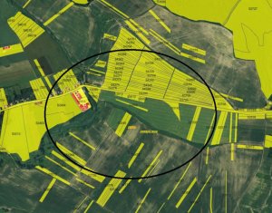 Teren extravilan in Rediu - Aiton, 4300 mp, la 150 m distanta de intravilan 