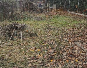 Maison 2 chambres à vendre dans Cluj-napoca