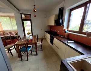 Maison 4 chambres à louer dans Cluj-napoca, zone Iris