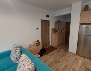 Appartement 2 chambres à vendre dans Cluj-napoca, zone Borhanci