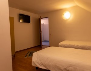 Oportunitate in Zorilor: casa spatioasa, curte mare si potential de investitie!