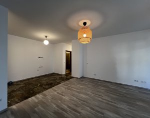 Espace Commercial à vendre dans Cluj-napoca, zone Europa