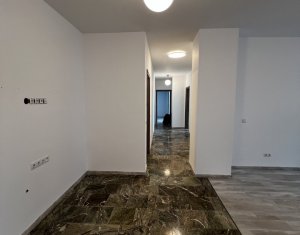 Espace Commercial à vendre dans Cluj-napoca, zone Europa