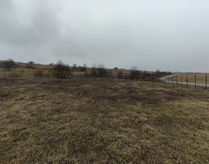 , 1131m2 in Chinteni