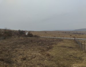 Teren intravilan în Chinteni – investiție (Necesita PUZ)