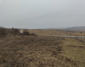 Teren intravilan în Chinteni – investiție (Necesita PUZ)