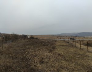 Teren intravilan în Chinteni – investiție (Necesita PUZ)
