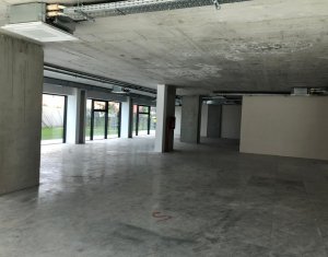 Espace Commercial à louer, 315m2 dans Cluj-napoca, zone Marasti