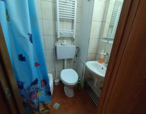 Studio à vendre dans Cluj-napoca, zone Iris