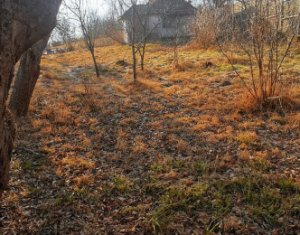 , 60m2 dans Comsesti