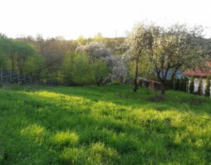 , 1400m2 dans Comsesti