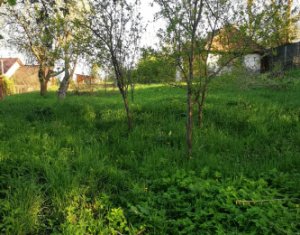 Terrain à vendre dans Comsesti