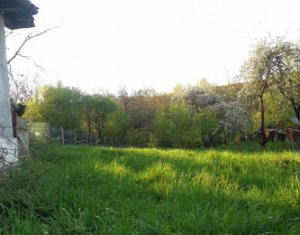 Terrain à vendre dans Comsesti