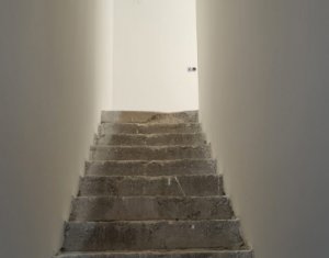 Maison 5 chambres à vendre dans Cluj-napoca