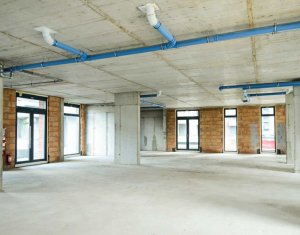 Espace Commercial à louer, 478m2 dans Cluj-napoca, zone Intre Lacuri