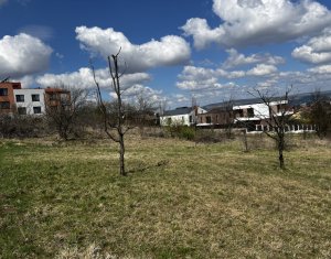 , 850m2 dans Cluj-napoca, zone Europa